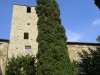 Torre